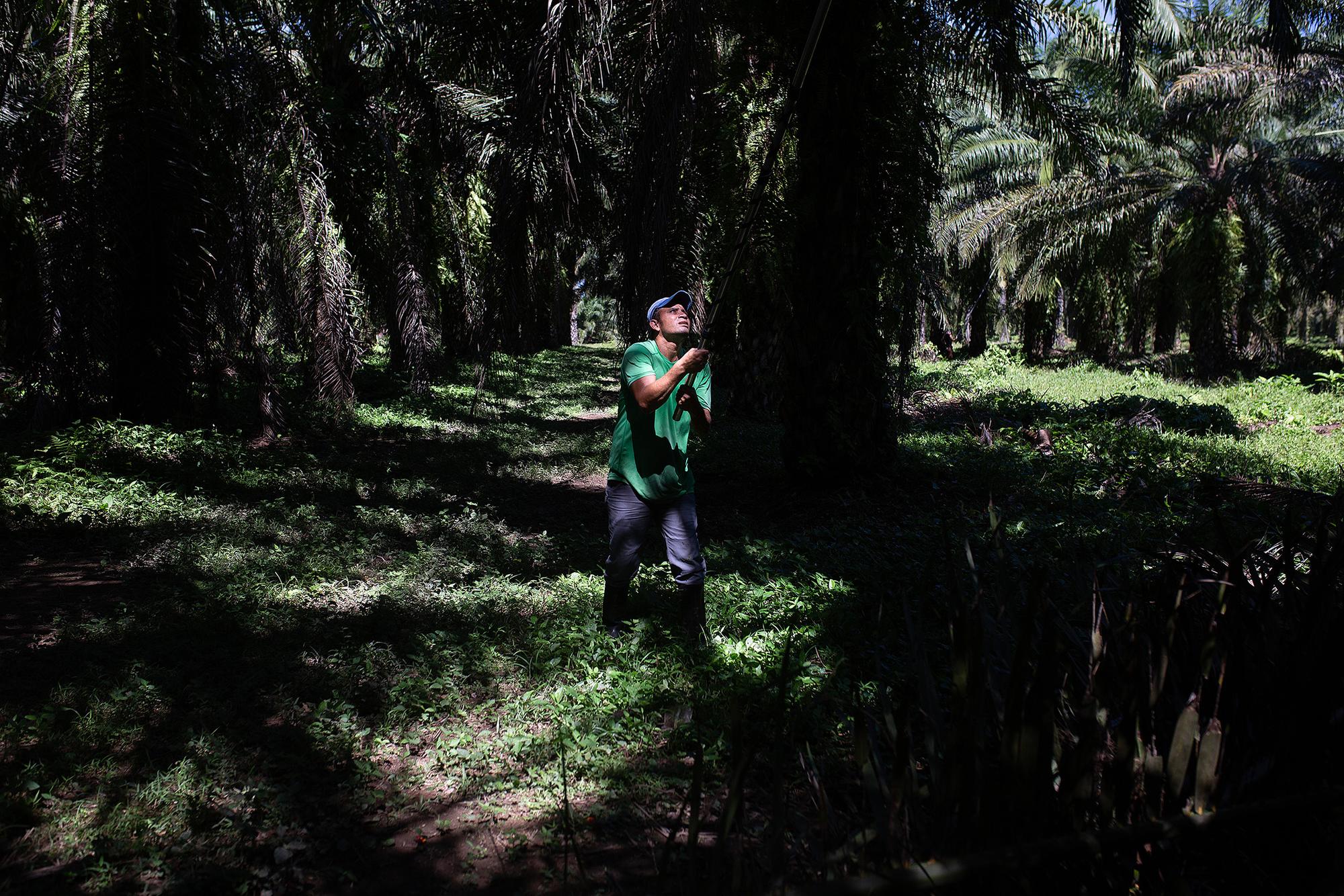 Asesinatos y persecución de líderes campesinos en el Bajo Aguán (Honduras) - 11